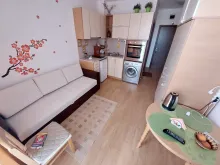 Miniaturka