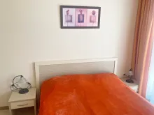Miniaturka