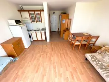 Miniaturka