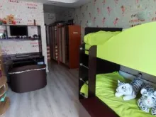 Miniaturka