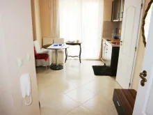 Miniaturka