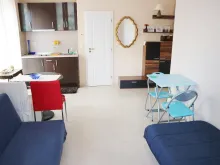 Miniaturka