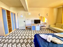 Miniaturka