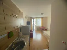 Miniaturka