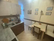 Miniaturka