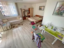 Miniaturka