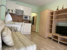 Miniaturka