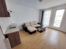 Miniaturka
