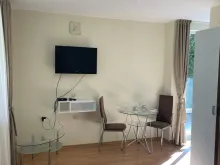 Miniaturka
