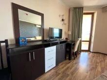 Miniaturka