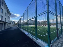 Blisko do siatkówki