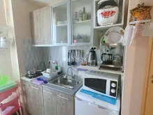 Miniaturka
