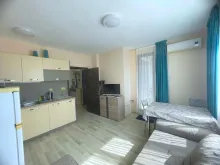 Miniaturka