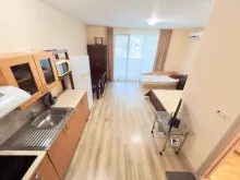Miniaturka