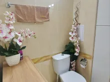 Miniaturka