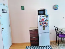 Miniaturka
