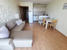 Miniaturka
