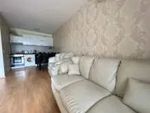 Miniaturka