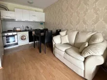 Miniaturka