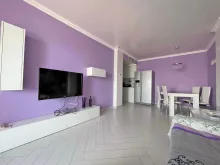 Miniaturka