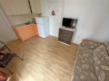 Miniaturka