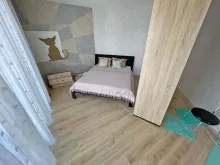 Miniaturka