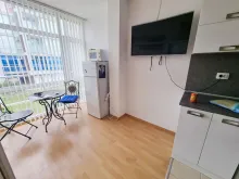 Miniaturka