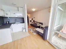 Miniaturka