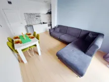 Miniaturka