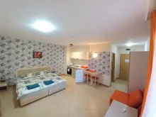 Miniaturka