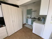 Miniaturka