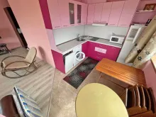 Miniaturka