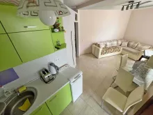 Miniaturka