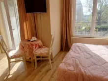 Miniaturka