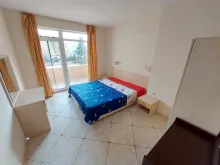Miniaturka
