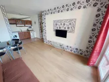 Miniaturka
