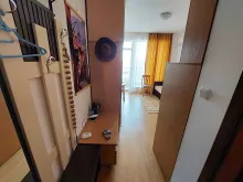 Miniaturka