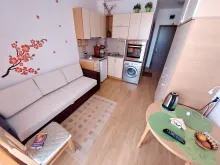 Miniaturka
