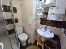 Miniaturka