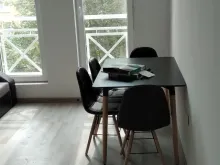 Miniaturka