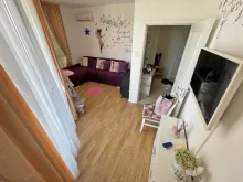 Miniaturka