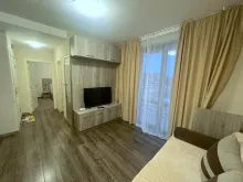 Miniaturka
