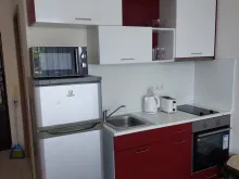 Miniaturka