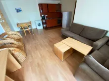Miniaturka