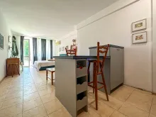Miniaturka