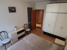 Miniaturka