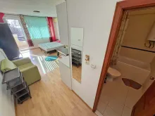 Miniaturka