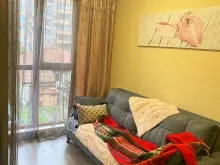 Miniaturka