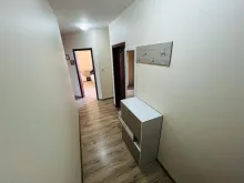 szafka