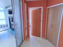 Miniaturka
